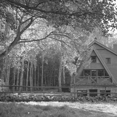 Hotel Wyrwidab Chodzież エクステリア 写真